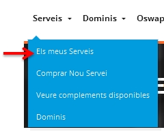 Accés Serveis