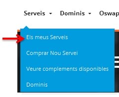 Accés Serveis