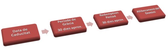 Redemption Period Redemption Period